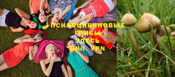 дмт Аркадак