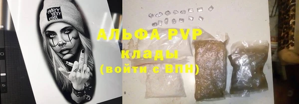 гашик Новодвинск