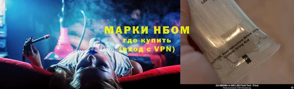 гашик Новодвинск