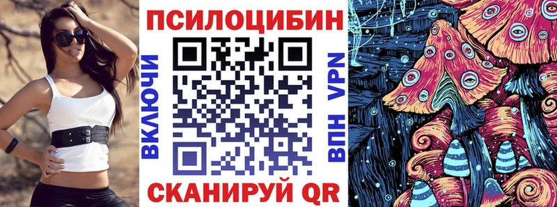 Галлюциногенные грибы Psilocybe  Бабаево 
